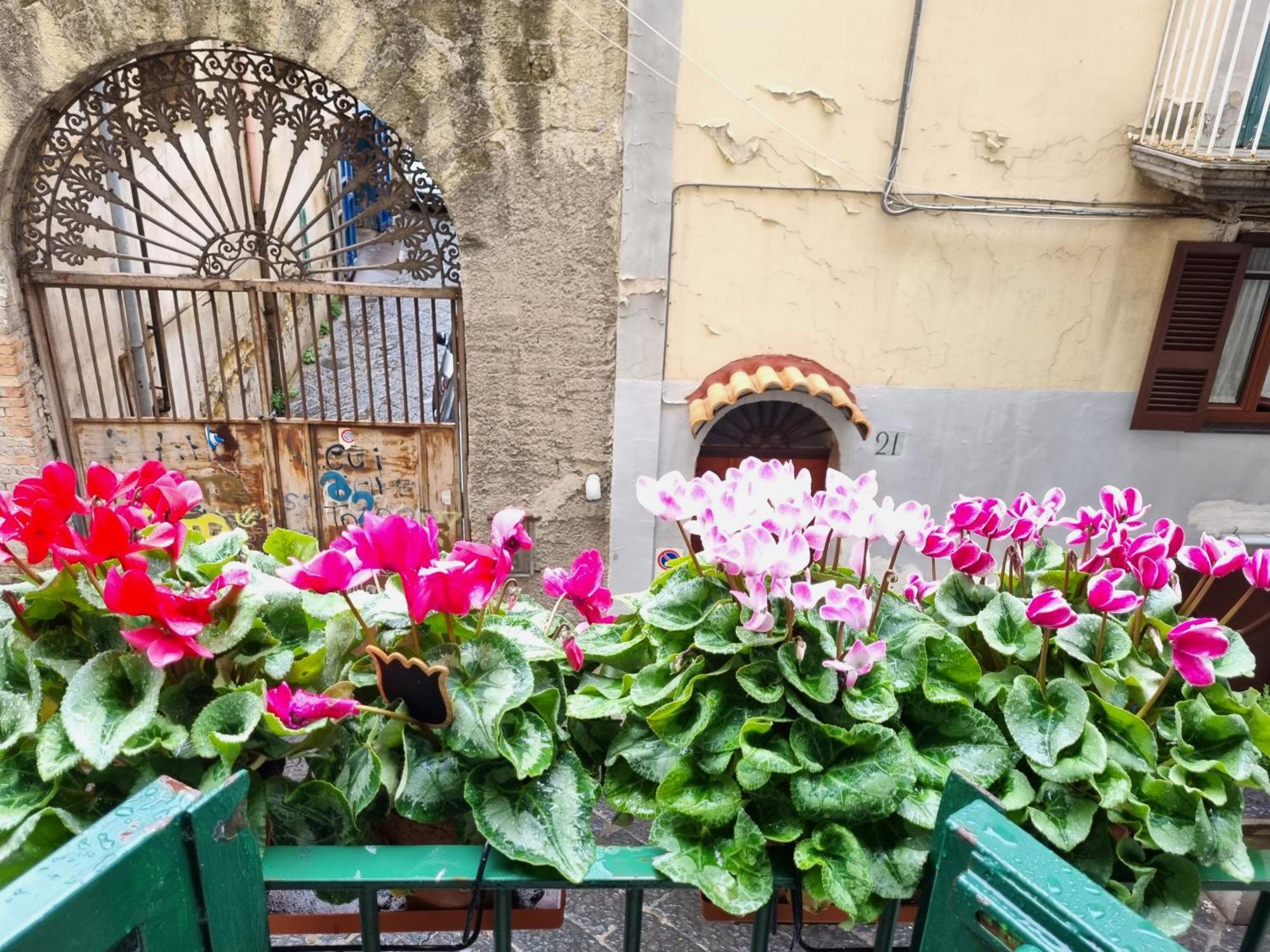 La Casa Di Domi Apartment Naples Exterior photo